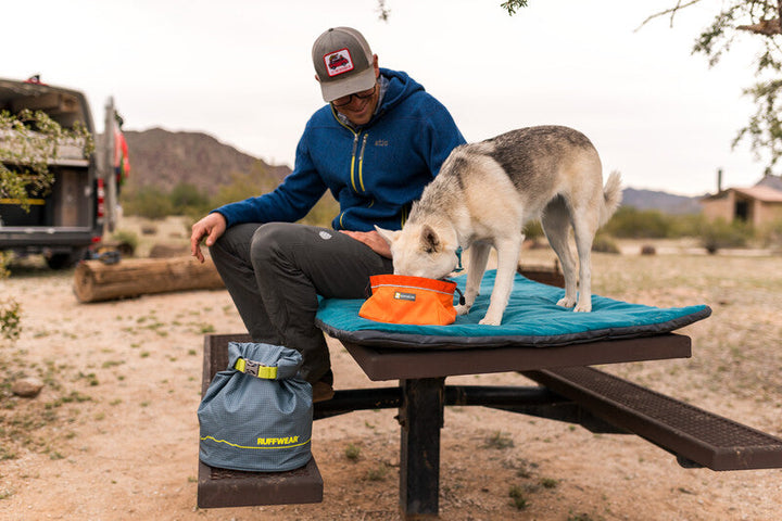 Ruffwear Kibble Kaddie and Quencher Bowl showing Dog Eating