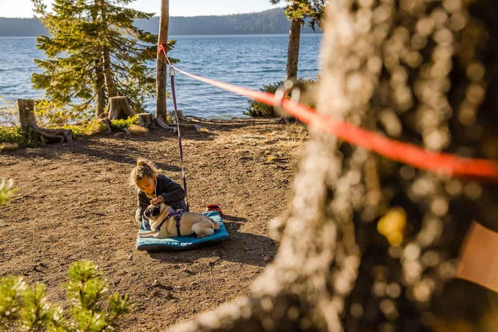 Ruffwear Knot-a-Hitch Young girl petting her pug dog who is attached to the system