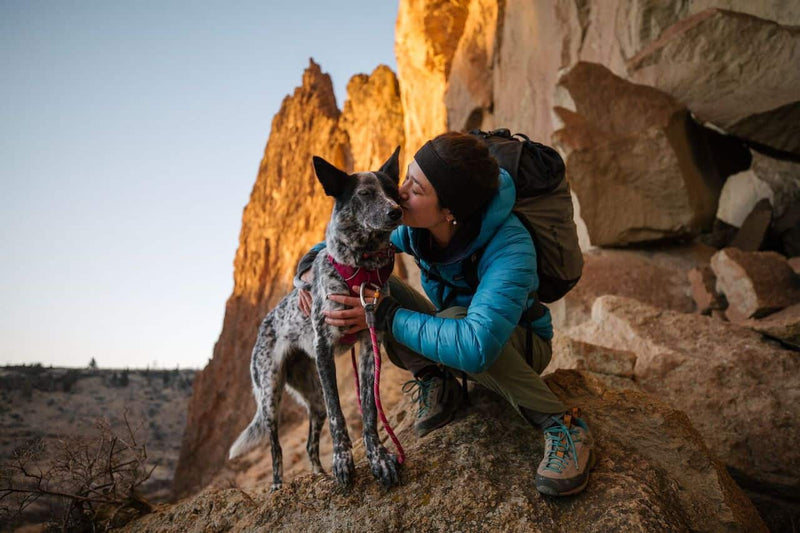 Ruffwear Knot-a-Leash in Hibiscus Pink on a Dog Who is getting a kiss from his human