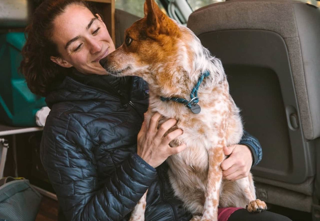 Ruffwear Knot-a-Collar in Blue Moon on a dog sitting on a girls knee