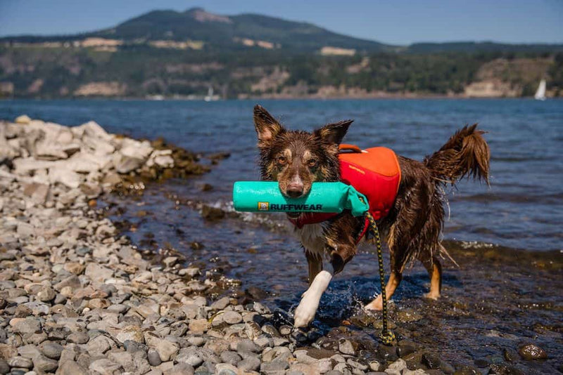 Ruffwear Lunker dog toy showing a Collie carrying it