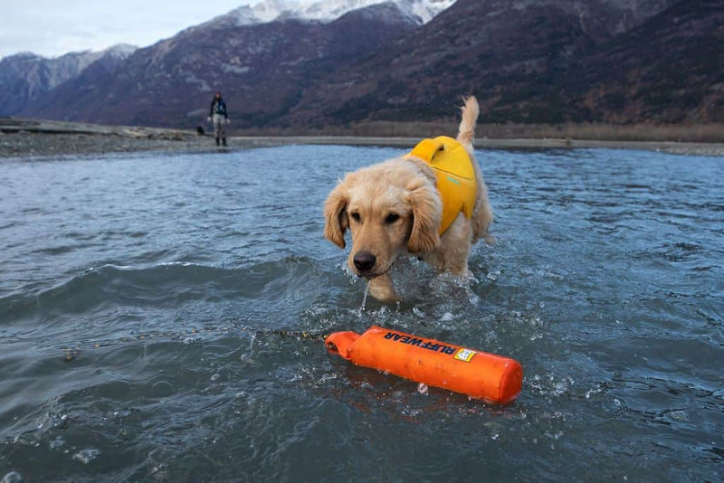 Ruffwear Lunker showing a Retriever puppy fetching it in the water