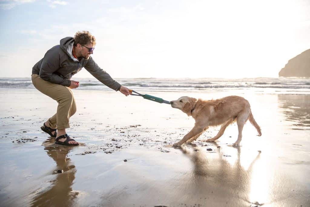 Ruffwear Pacific Loop Dog Toy playing a game of tug on a beach