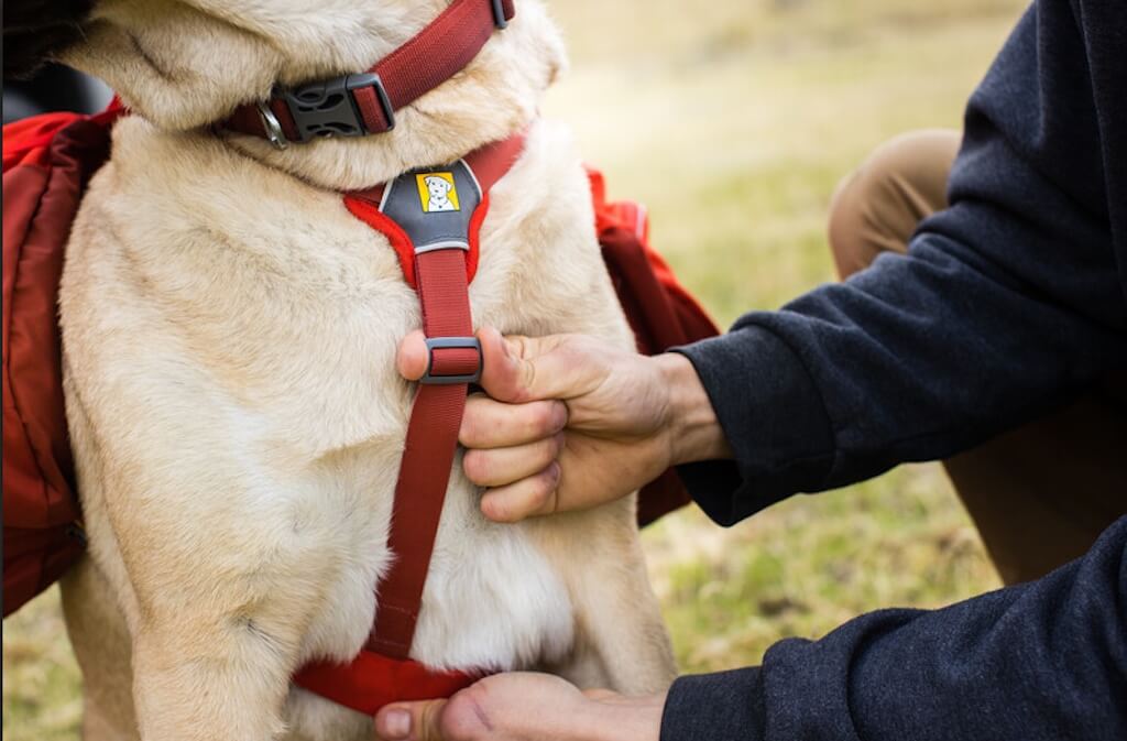 Palisades Pack - Premium Dog Backpack for Multi-Day & Backcountry Trips