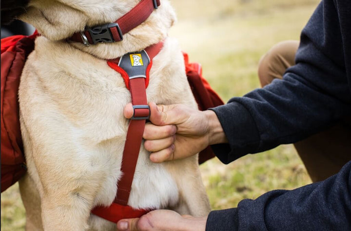 Palisades Pack - Premium Dog Backpack for Multi-Day & Backcountry Trips