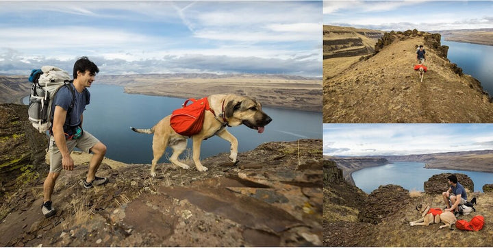 Palisades Pack - Premium Dog Backpack for Multi-Day & Backcountry Trips