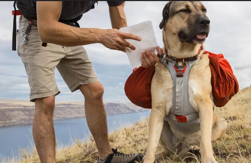 Palisades Pack - Premium Dog Backpack for Multi-Day & Backcountry Trips