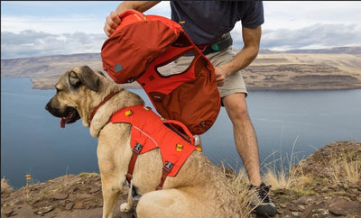 Palisades Pack - Premium Dog Backpack for Multi-Day & Backcountry Trips