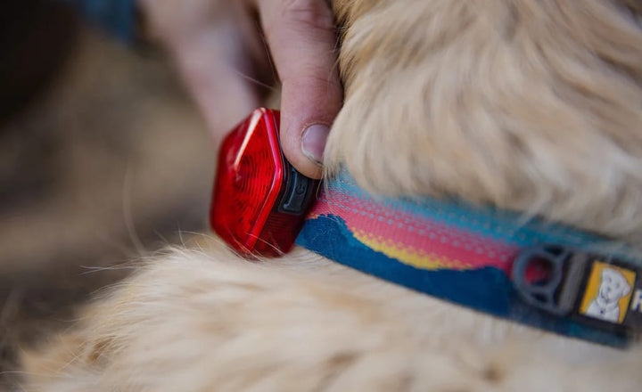 NEW! Audible Beacon - Ruffwear Dog Safety Light