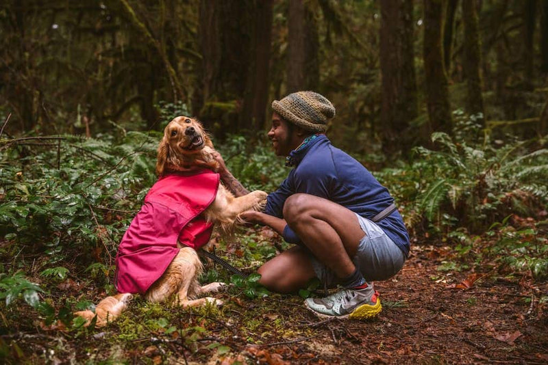 Ruffwear Sun Shower in Hibiscus Pink on a Dog in the woods