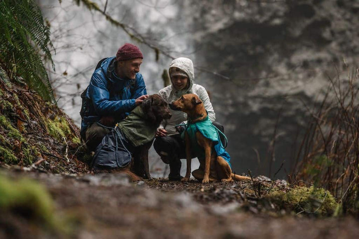 Ruffwear Sun Shower in Midnight Blue and Blue Dusk on two dogs