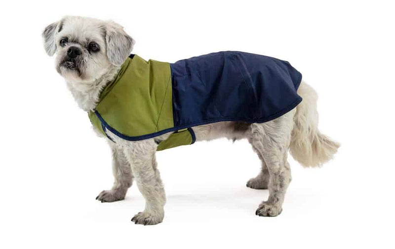 Ruffwear Sun Shower in Midnight Blue on a small dog showing the fit