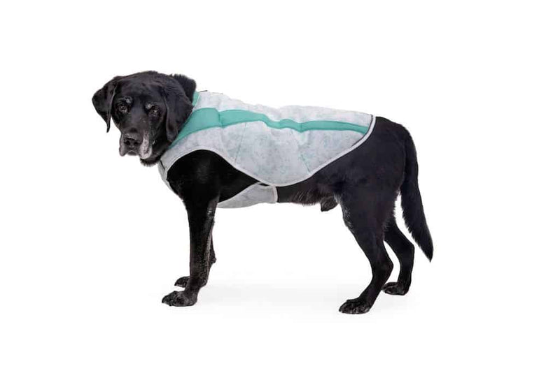 NEW Design! Ruffwear Swamp Cooler™ - Cooling Dog Vest