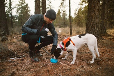 Ruffwear Trail Runner™ Dog Bowl - Ultralight, 'Packs Up Small'