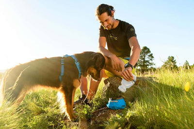 Ruffwear Trail Runner™ Dog Bowl - Ultralight, 'Packs Up Small'