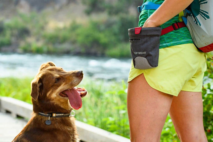 Treat Trader - Waist Worn Treat Bag