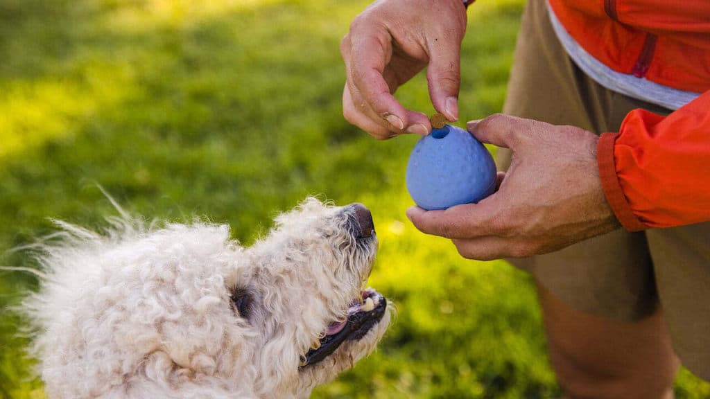 TurnUp Dog Toy - Durable, Tennis-Ball, New Colours