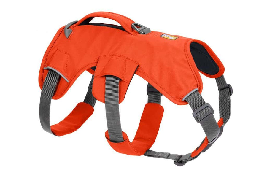 Ruffwear Web Master Harness in Blaze Orange