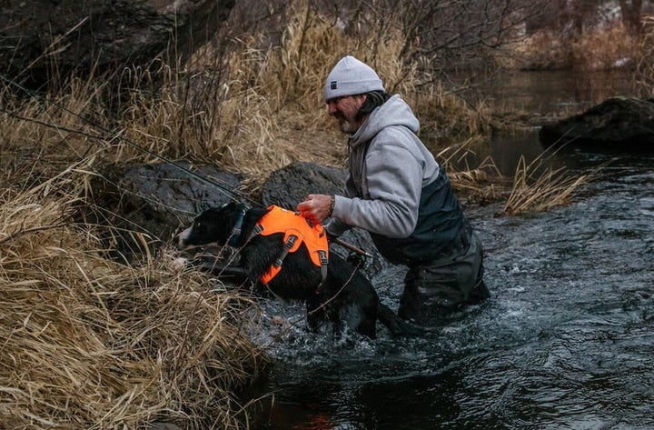 Ruffwear Web Master Harness in Blaze Orange great for dog's needing high visibility.  This image shows a fisherman helping his dog up a riverbank using the back support handle on the harness.