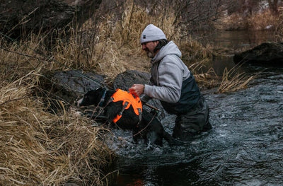 Ruffwear Web Master Harness in Blaze Orange great for dog's needing high visibility.  This image shows a fisherman helping his dog up a riverbank using the back support handle on the harness.