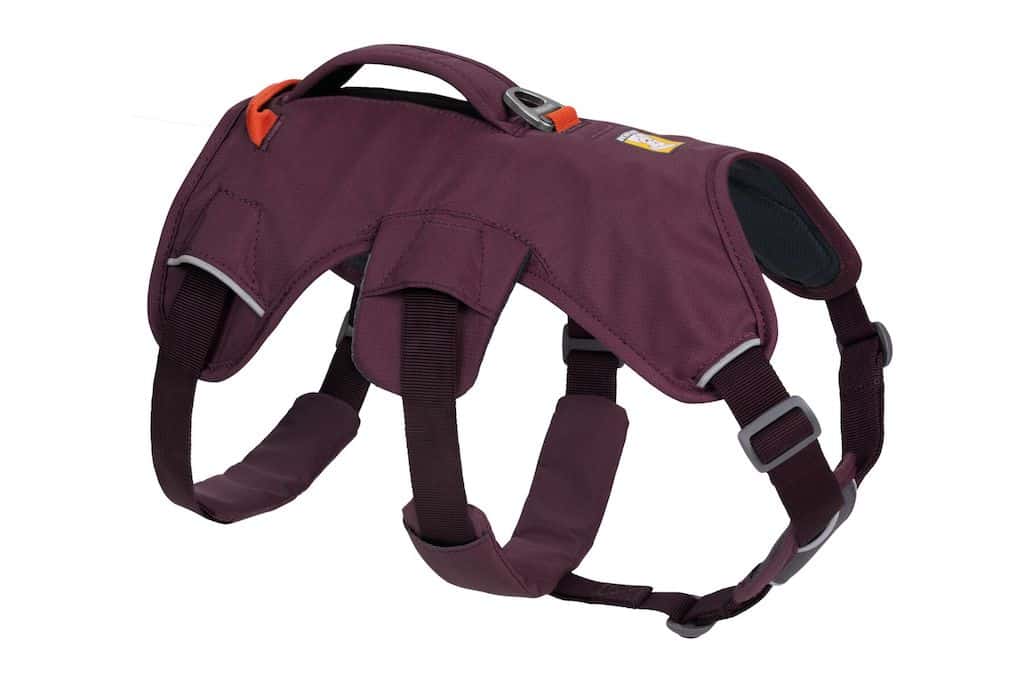 Ruffwear Web Master Harness in Purple Rain