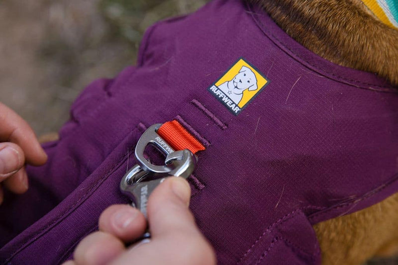Photo showing the secure back leash attachment point on the Ruffwear Web Master Harness.