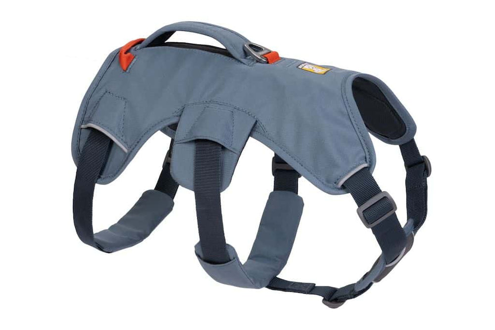 Ruffwear Web Master Harness in Slate Blue