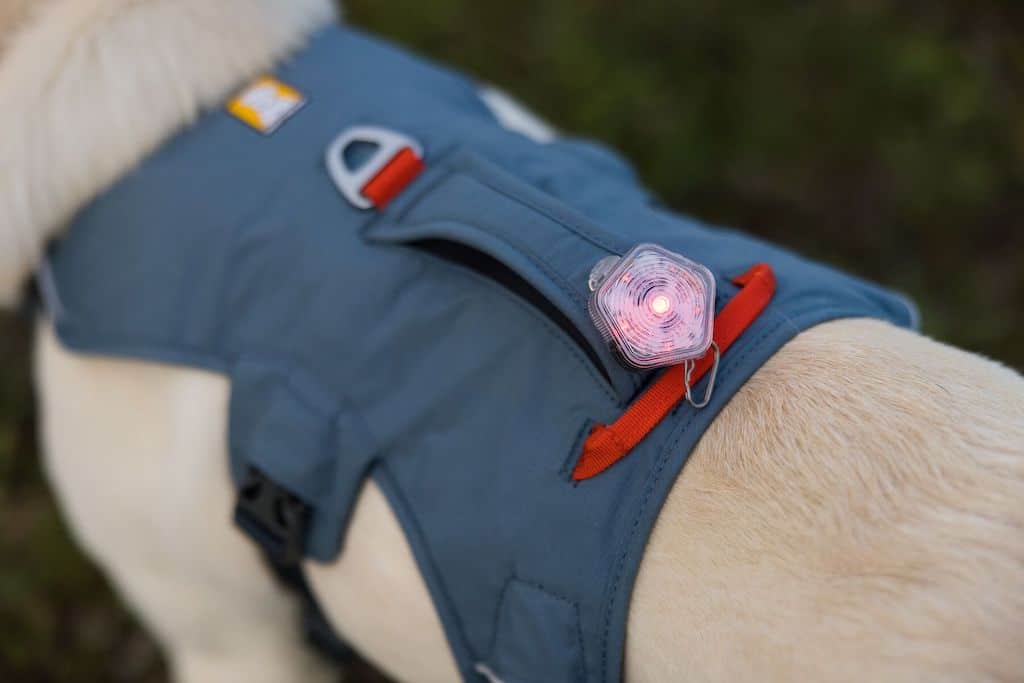 The Ruffwear Web Master Harness has reflective piping for better low light visibility.  But you can also add a The Beacon security light for greater visibility.